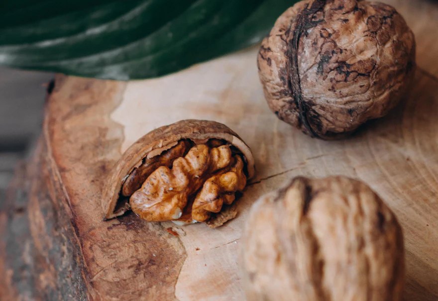 How Nutrition Supports Brain Health and Memory